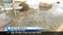 장림유수지, 엉터리 공사에 구청은 묵인의혹