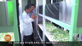 태양광 청정에너지로 작물 재배