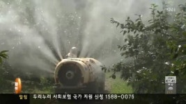 단감 탄저병 주의보