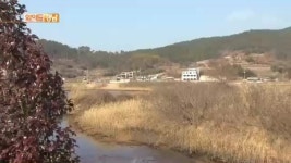 20년째 제자리...장목관광단지 과연 되나?