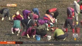 노령화 어촌마을, 체험으로 1석 3조