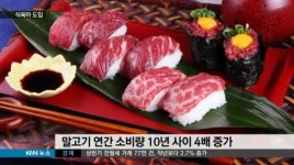 정우말식육점 | 식육마 국내 첫 도입, 말고기 시장 변화 주목