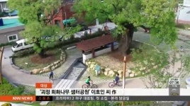 부산*경남 아름다운 가로수길은 여기