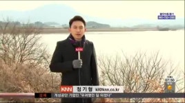 겨울철새들의 수난