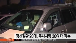정신질환 20대 주차차량 30여대 파손