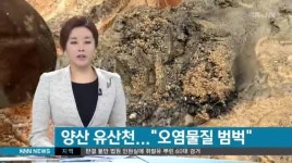 폐수에 오염되는 양산 유산천