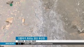 오폐수 계속 흘러들어도... 이름뿐인 생태하천
