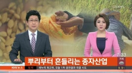 뿌리부터 흔들리는 종자산업