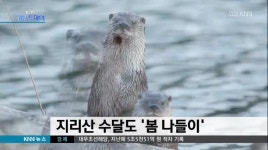 지리산 수달도 '봄 나들이'