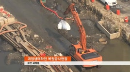 웅어 사라진 괴정천, 수질 악화 심각