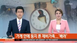가게 안에 둥지 튼 제비가족, 주인의 배려
