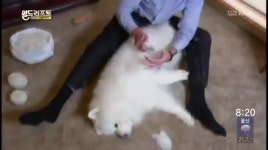 애완동물 털로 옷 만들기