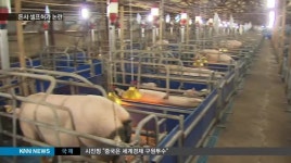 르포)의령군수 돼지돈사 셀프허가, 직권남용? 역차별?