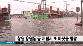 창원 용원*월영 주민들 또 바닷물 피해