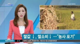 소비자들의 쌀 외면, 농민들은 한숨