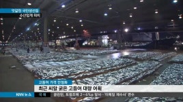 엇갈린 국민생선들, 수산업계 희비