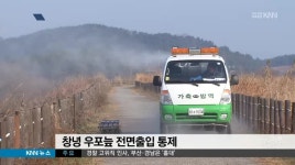 경남 AI 비상, 감염된 철새 발견 