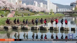 아름다운 가로수길 4년, 녹지도시 시동 