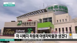 차 시배지 하동에 야생차박물관 생겼다