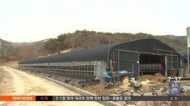 하동 AI 양성, 방역당국 '비상'