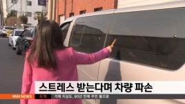 스트레스 받는다며 차량 파손한 50대