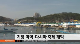 기장 미역*다시마 축제 오늘(7) 개막