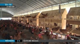 양산*기장서도  AI 양성반응, 방역당국 비상