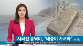 태풍에 사라진 송덕비 14년만에 태풍에 돌아와