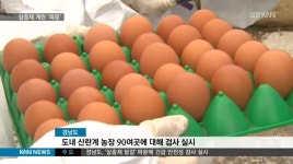 살충제 계란, 양계농가 또 다시 비상