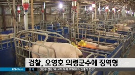 검찰, 의령군수에 징역형 구형