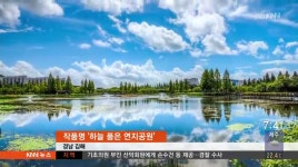 부산*경남 아름다운 가로수길은 &apos;여기&apos;