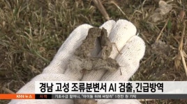 경남 고성  조류서 AI 검출 긴급방역