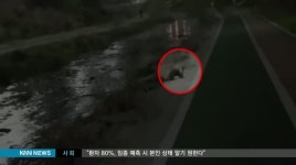 수달 돌아왔지만 보호 노력 없어