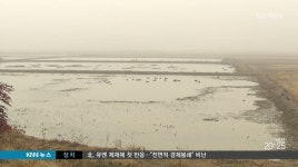 가뭄 허덕, 부산*경남에 반가운 단비