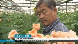 화훼농가 부활 기지개