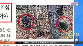 아침신문읽기 (4/3)