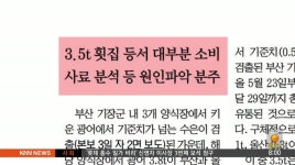 아침신문읽기-기장 넙치 일부 유통