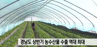 경남도 상반기 농수산물 8억 6700만 달러 수출