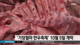 기장철마 한우축제 10월 5일 개막
