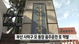 부산 모 동장 음주운전 또 적발