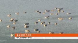 주민우려 키우는 수상태양광발전 추진
