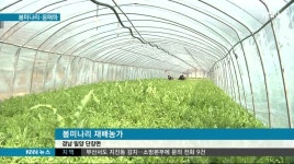 찬 바람 불어도.. &apos;그래도 봄은 온다&apos;