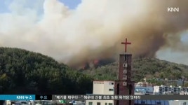 &apos;축구장 28개&apos; 삼킨 산불..원인 조사 나서