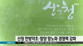 산청 한방약초*함양 항노화 사업 경쟁력 강화