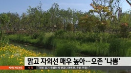 뉴스와 생활경제 날씨 5월16일(목)