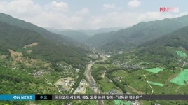 녹차밭에 커피전문점 우후죽순