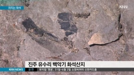 진주 백악기 화석 훼손에 도굴까지