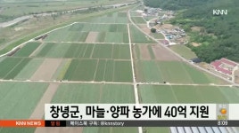 창녕군 마늘*양파 농가에 40억 지원