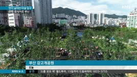 수정터널 감고개공원 준공