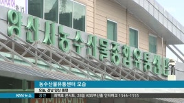 양산 농수산물유통센터 잡음 계속 왜?